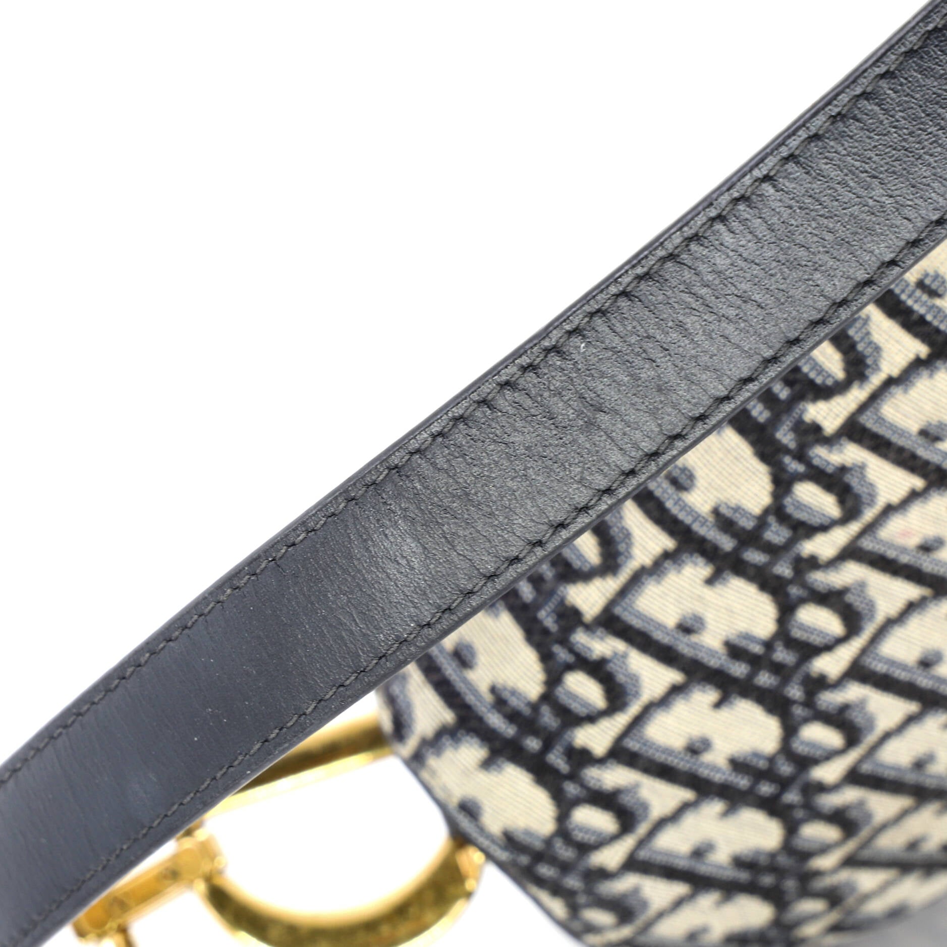 Saddle Handbag Oblique Canvas Medium
