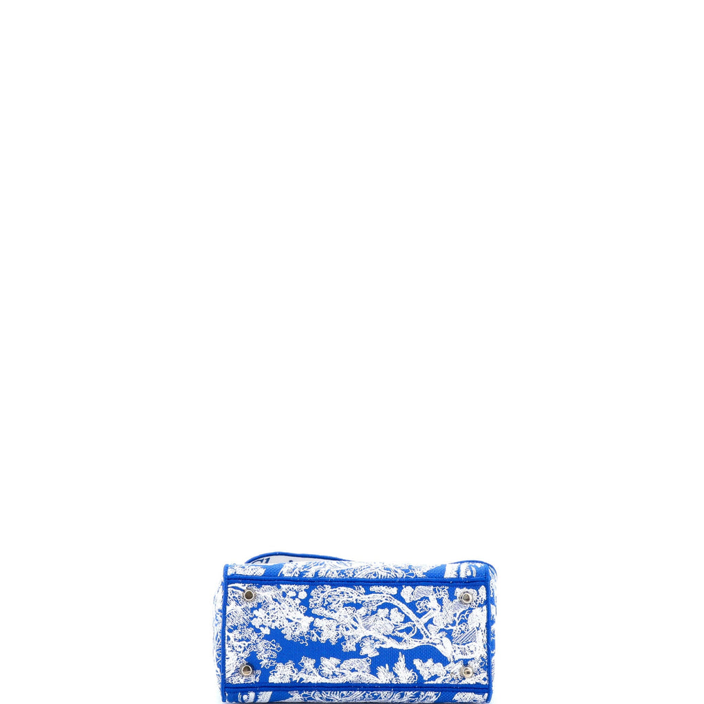 Toile de Jouy Lady D-Lite Bag Embroidered Canvas