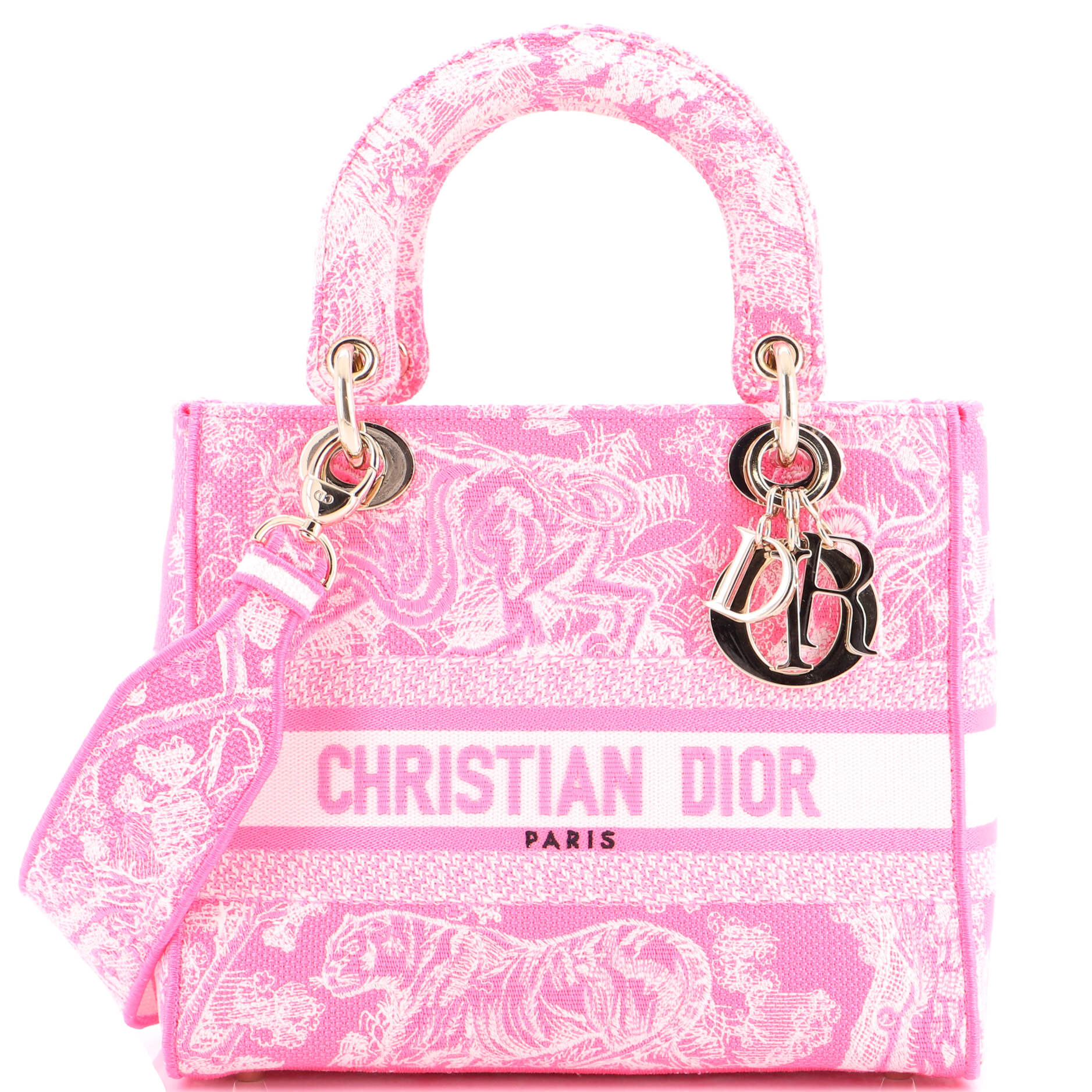 Toile de Jouy Lady D-Lite Bag Embroidered Canvas