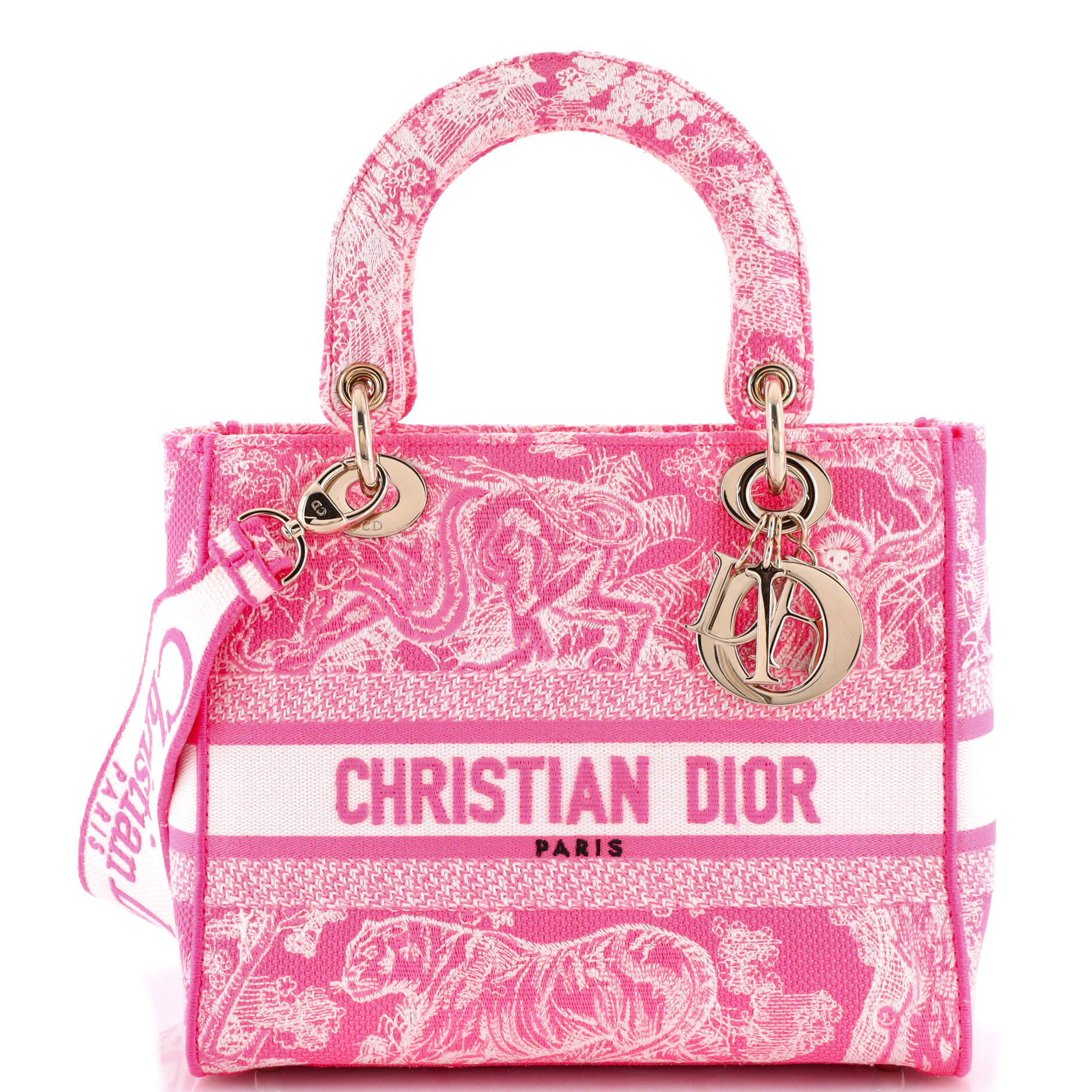 Toile de Jouy Lady D-Lite Bag Embroidered Canvas