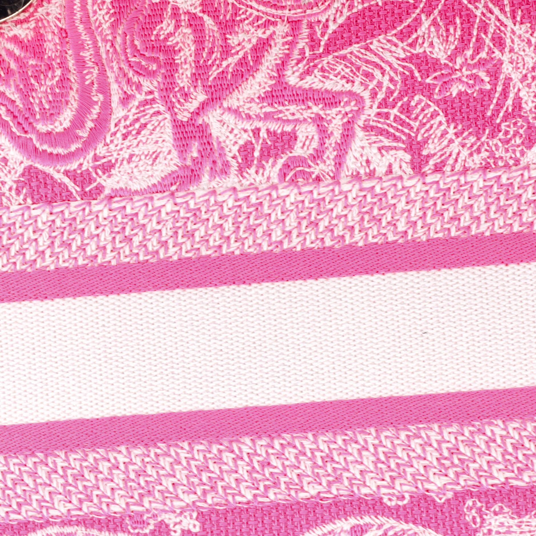 Toile de Jouy Lady D-Lite Bag Embroidered Canvas
