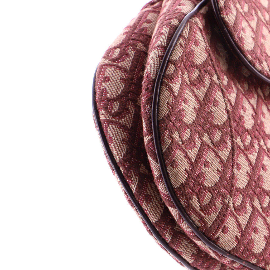 Saddle Handbag Oblique Canvas Medium