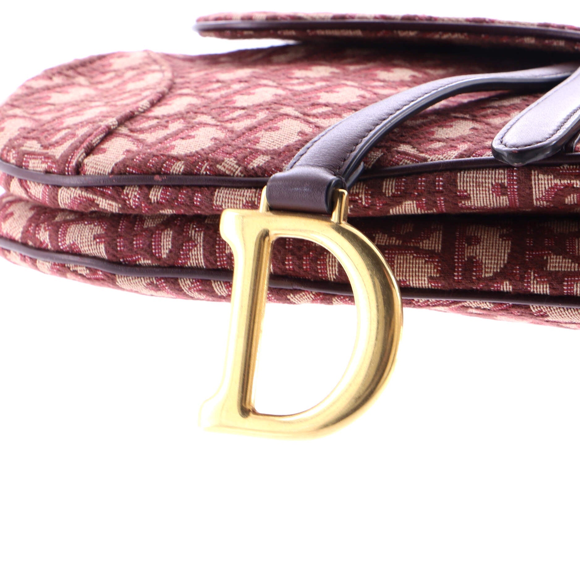 Saddle Handbag Oblique Canvas Medium