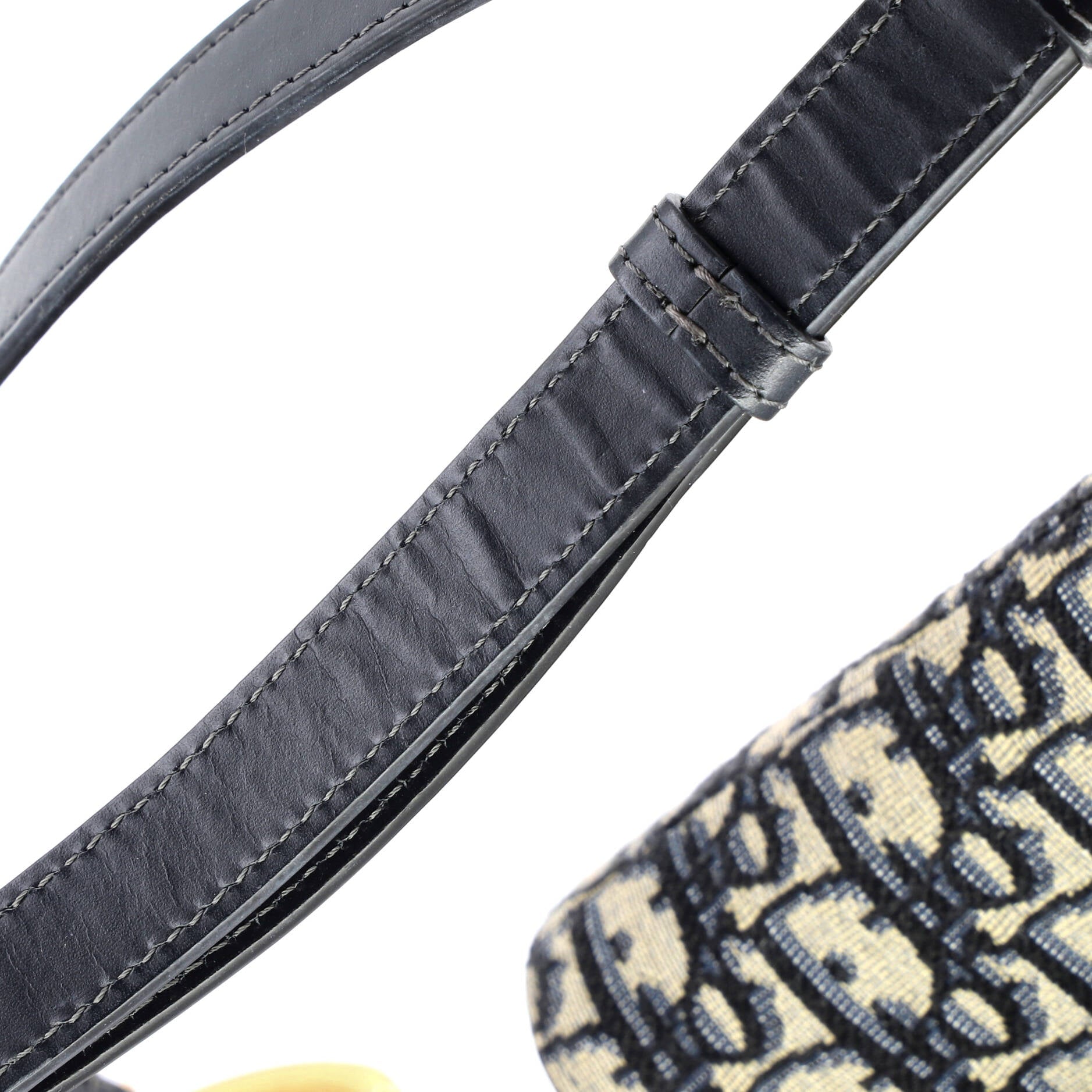 Saddle Handbag with Strap Oblique Canvas Medium