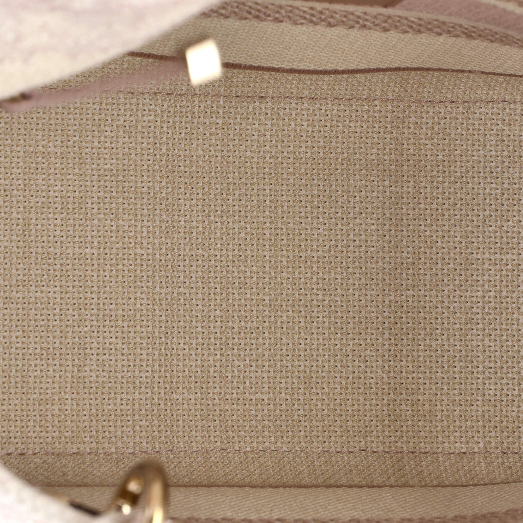 Toile de Jouy Lady D-Lite Bag Embroidered Canvas