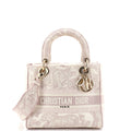 Toile de Jouy Lady D-Lite Bag Embroidered Canvas