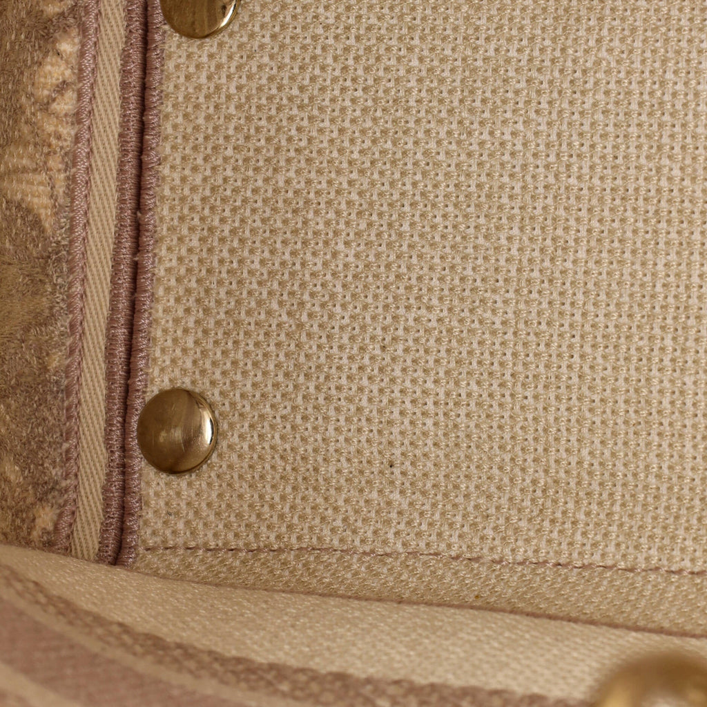 Toile de Jouy Lady D-Lite Bag Embroidered Canvas