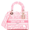 Toile de Jouy Lady D-Lite Bag Embroidered Canvas