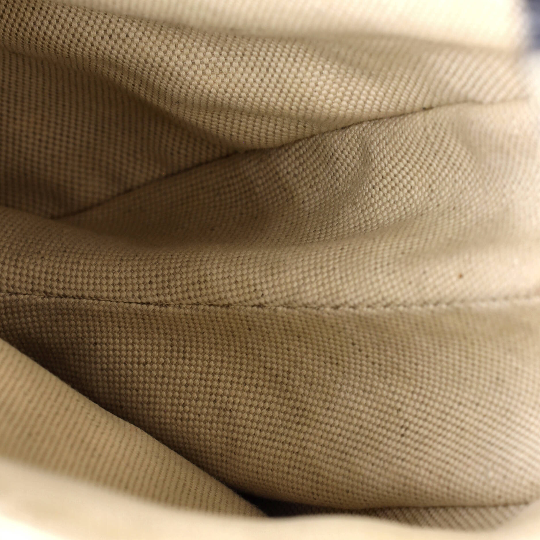 Saddle Handbag Oblique Canvas Medium