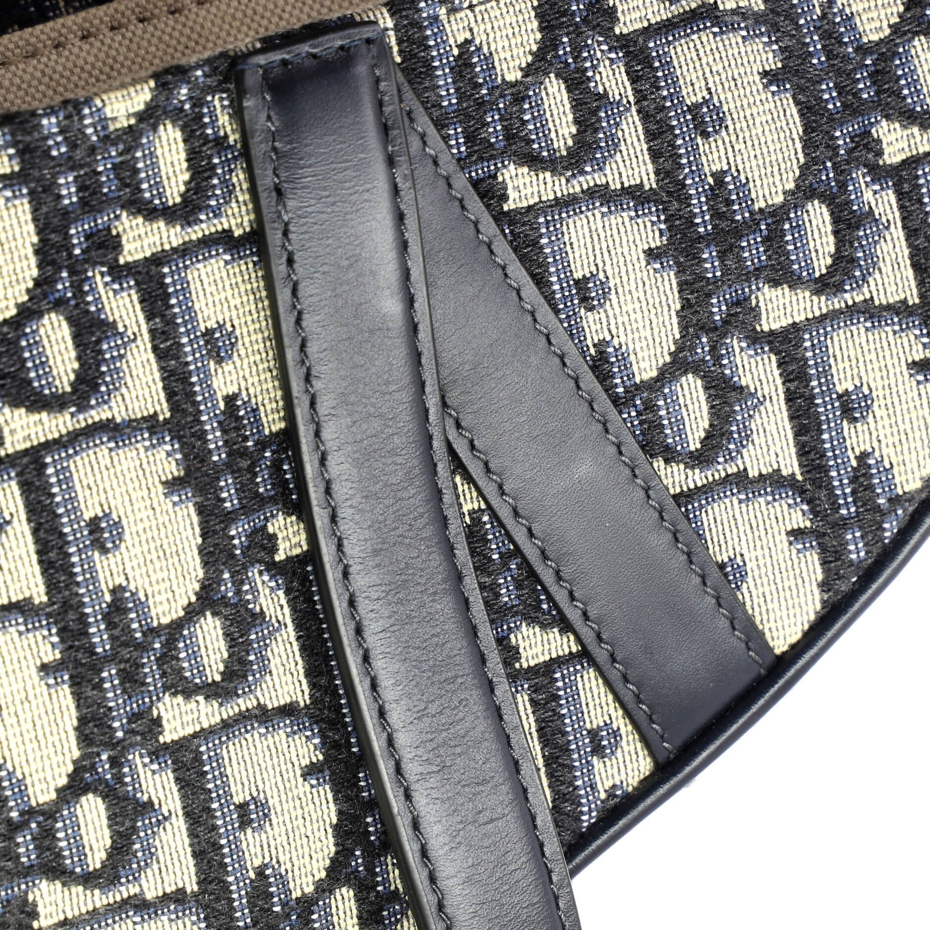 Saddle Handbag Oblique Canvas Mini