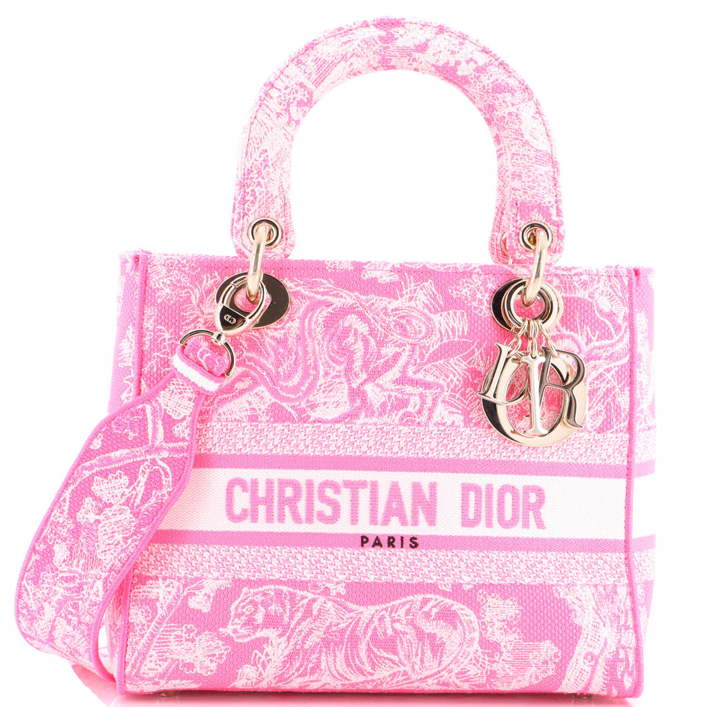 Toile de Jouy Lady D-Lite Bag Embroidered Canvas