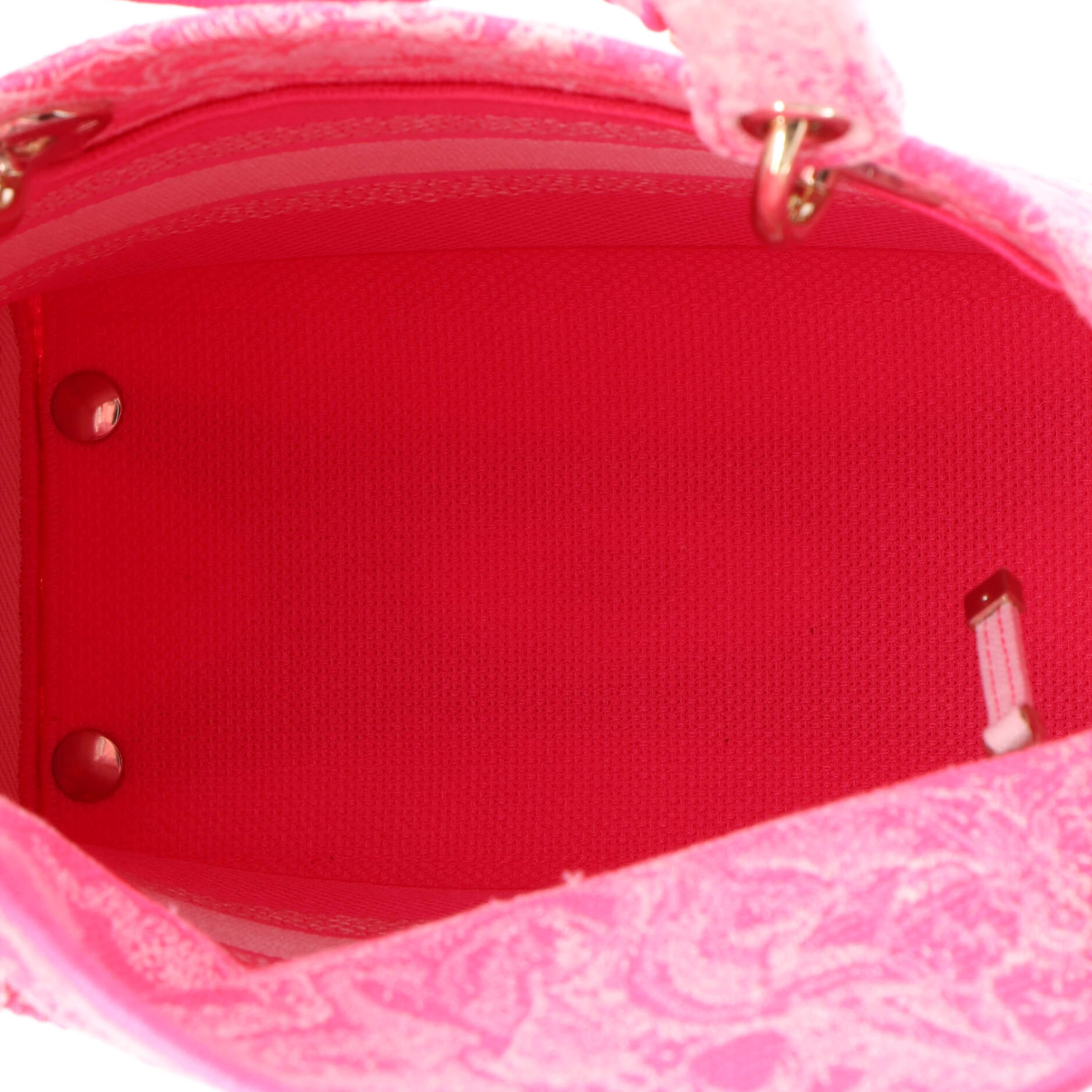 Toile de Jouy Lady D-Lite Bag Embroidered Canvas