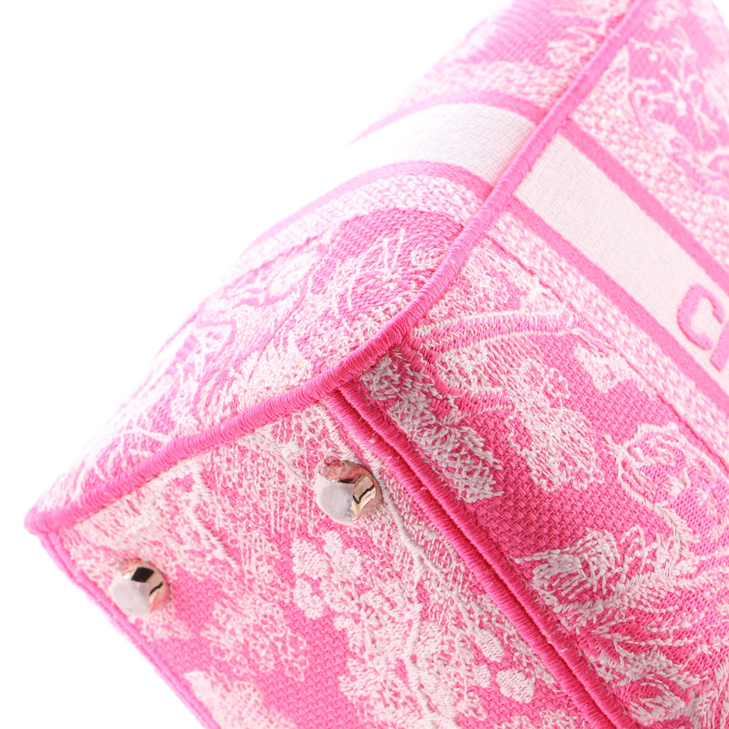 Toile de Jouy Lady D-Lite Bag Embroidered Canvas