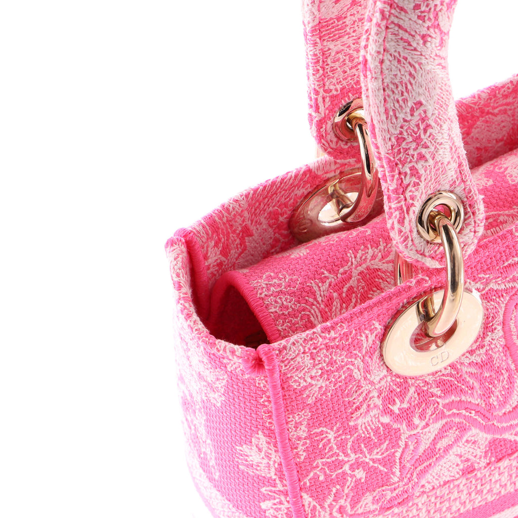 Toile de Jouy Lady D-Lite Bag Embroidered Canvas