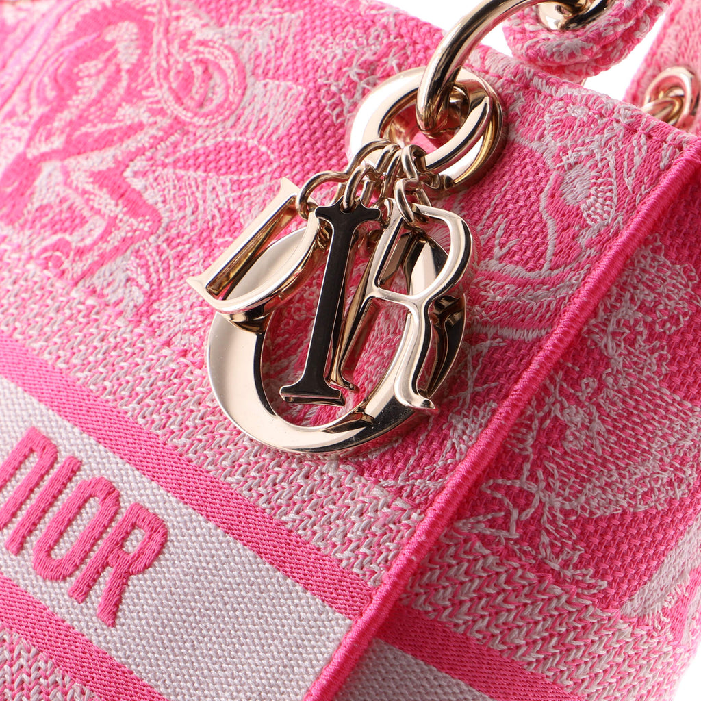 Toile de Jouy Lady D-Lite Bag Embroidered Canvas