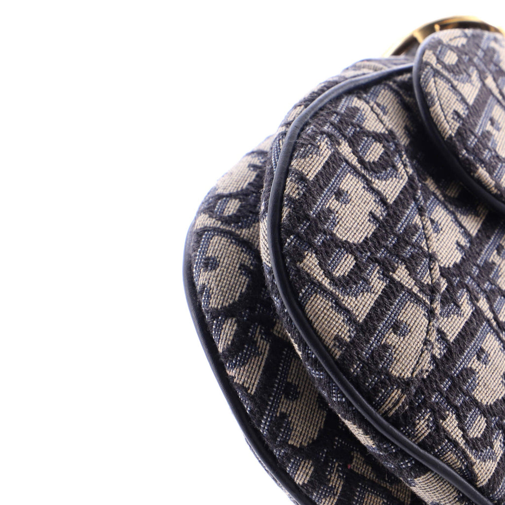 Saddle Handbag Oblique Canvas Mini