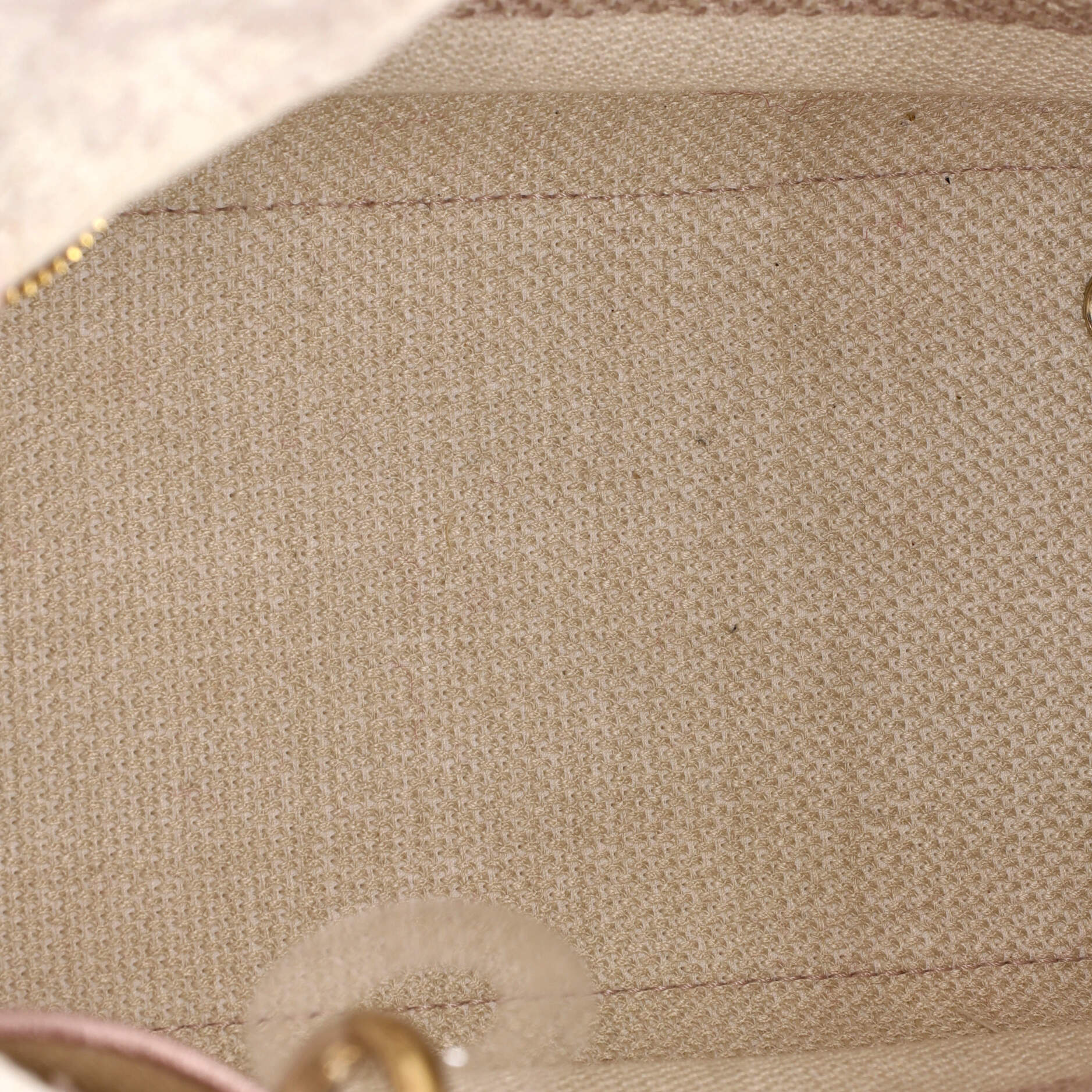 Toile de Jouy Lady D-Lite Bag Embroidered Canvas