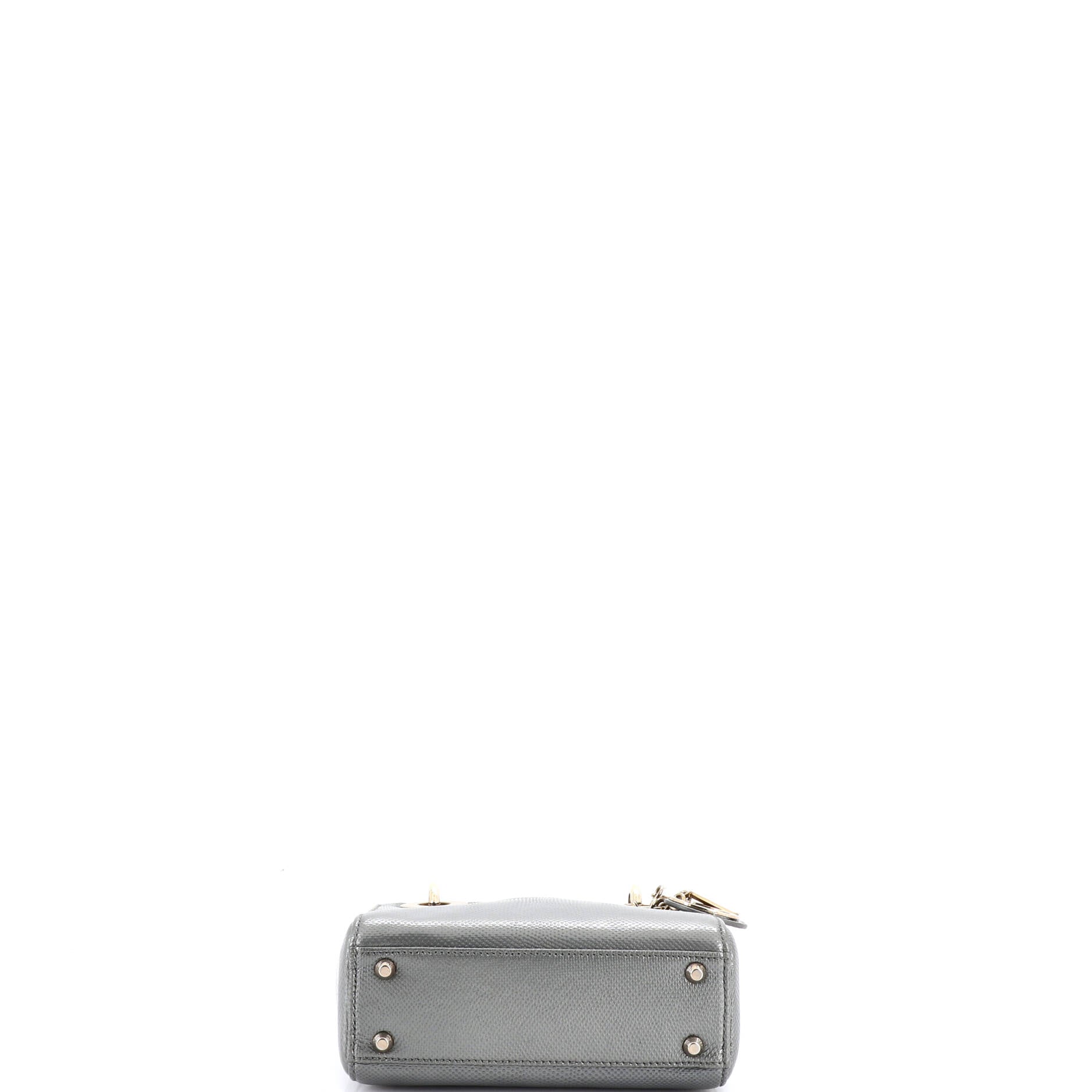 Lady Dior Bag Lizard Mini