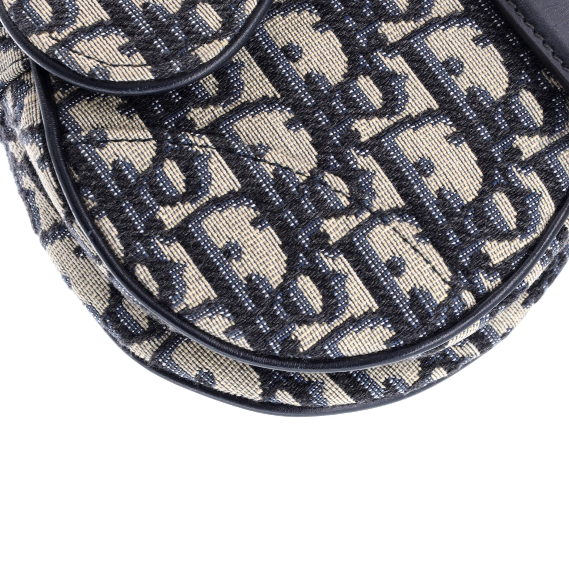Saddle Handbag Oblique Canvas Mini