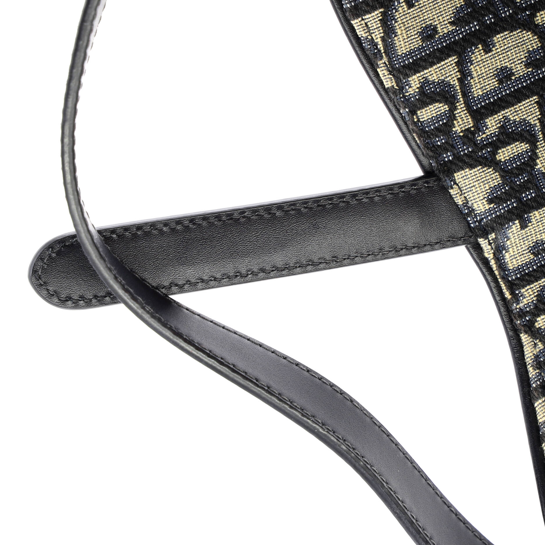 Saddle Handbag with Strap Oblique Canvas Medium