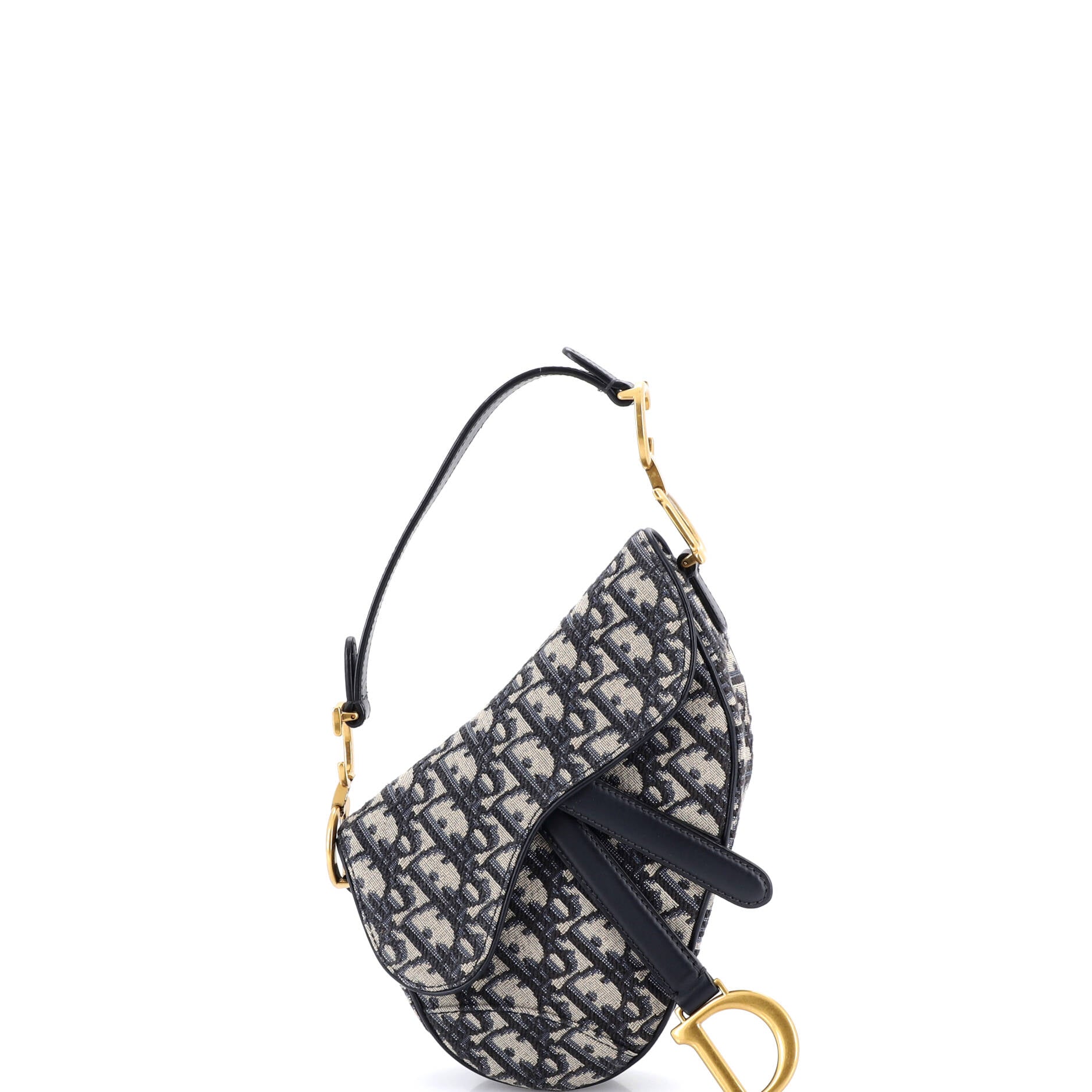 Saddle Handbag Oblique Canvas Mini