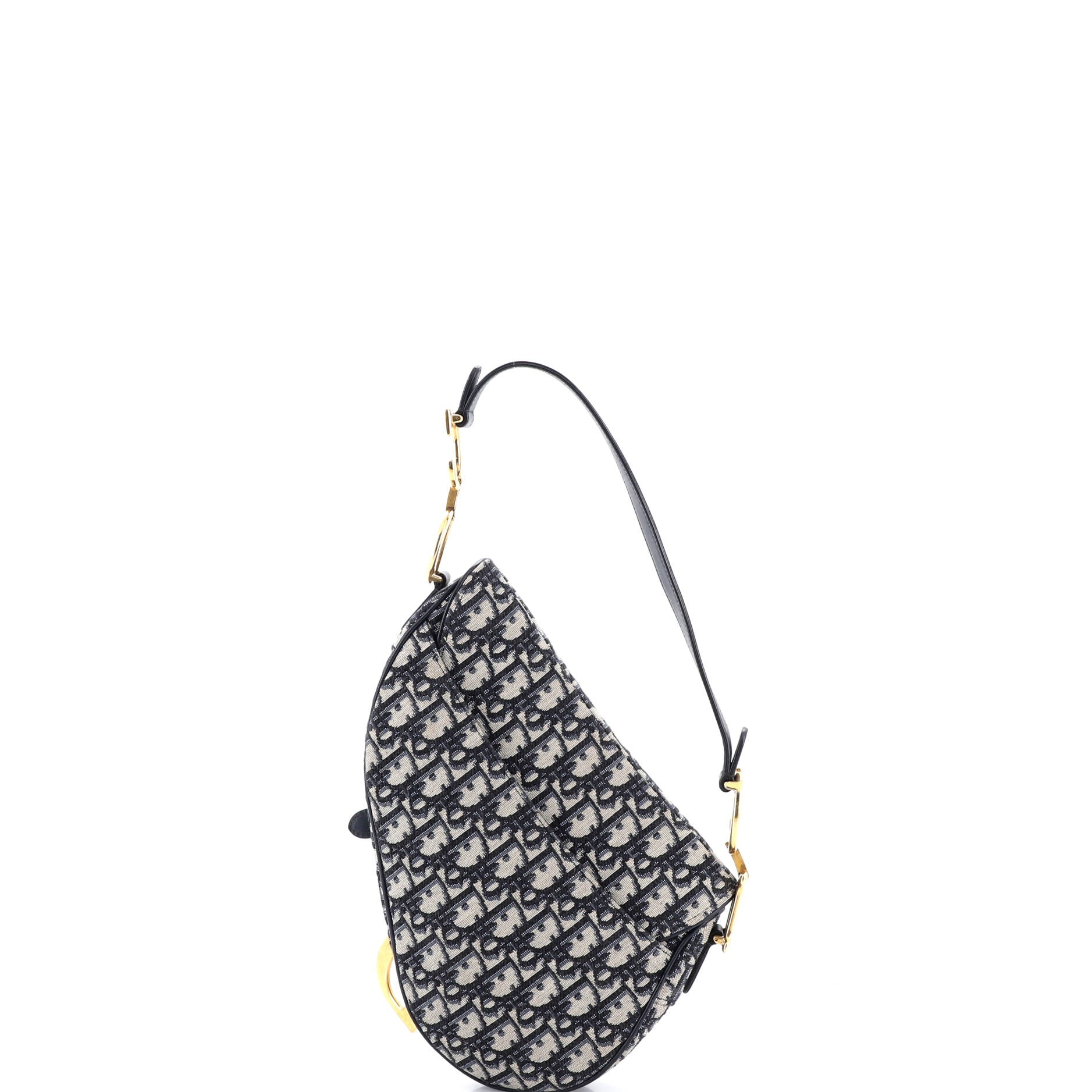 Saddle Handbag Oblique Canvas Medium