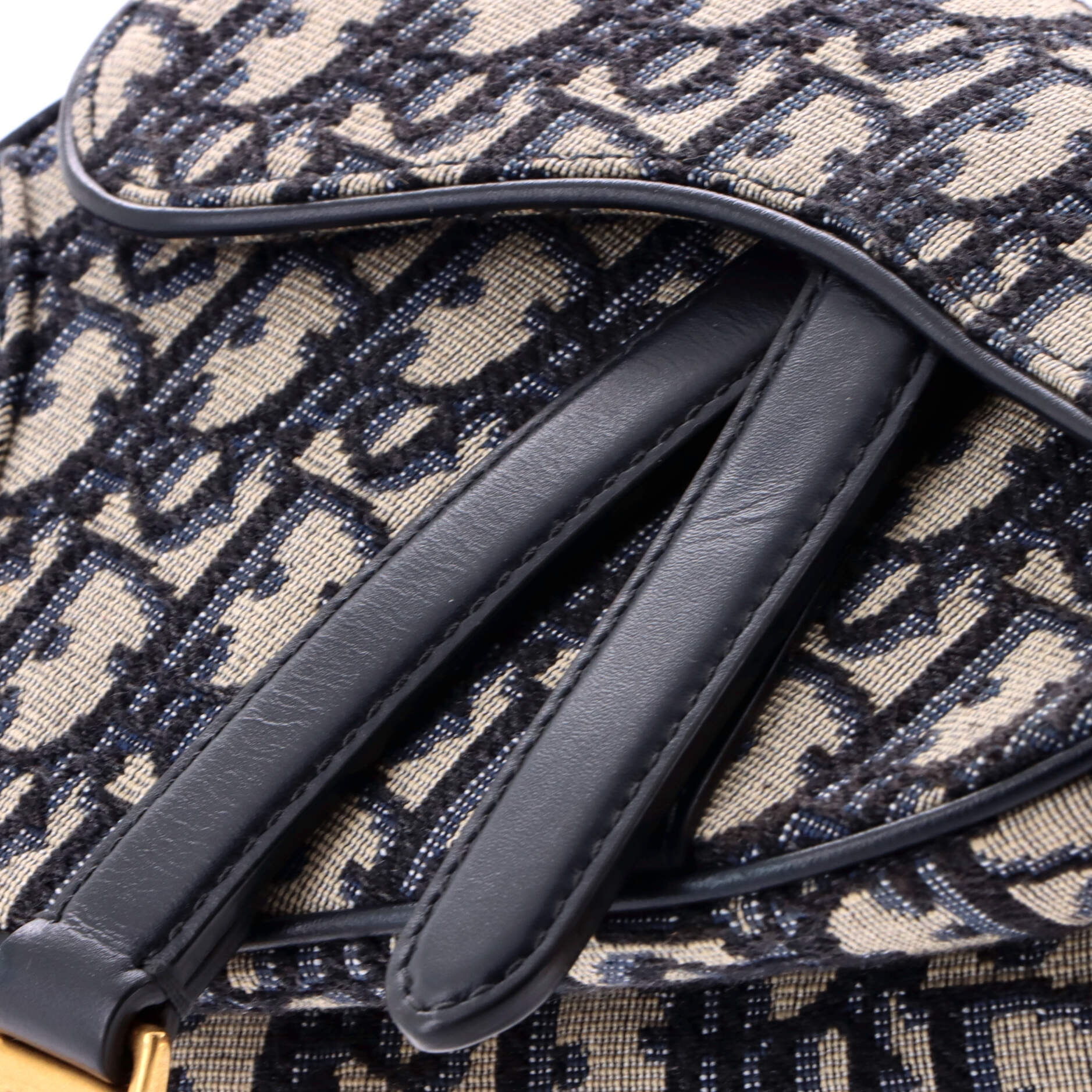 Saddle Handbag Oblique Canvas Mini