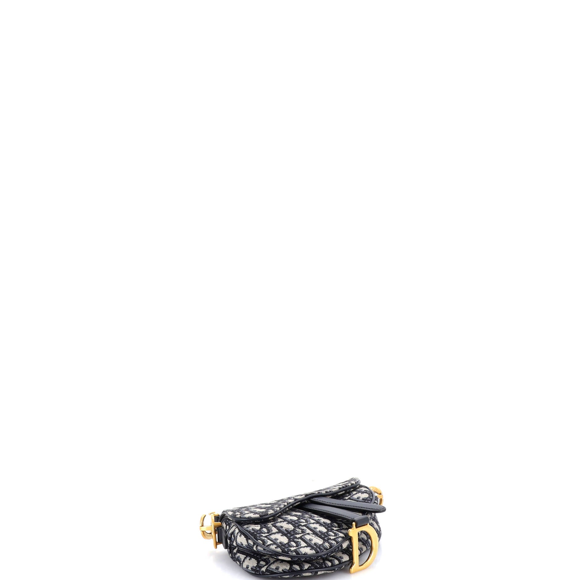 Saddle Handbag Oblique Canvas Mini