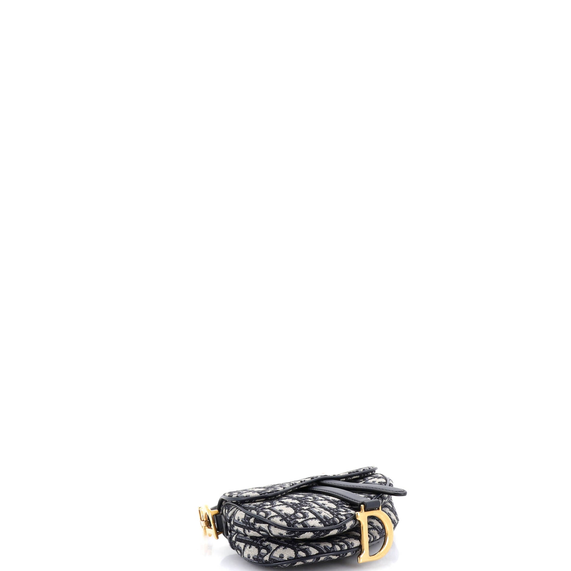 Saddle Handbag Oblique Canvas Mini