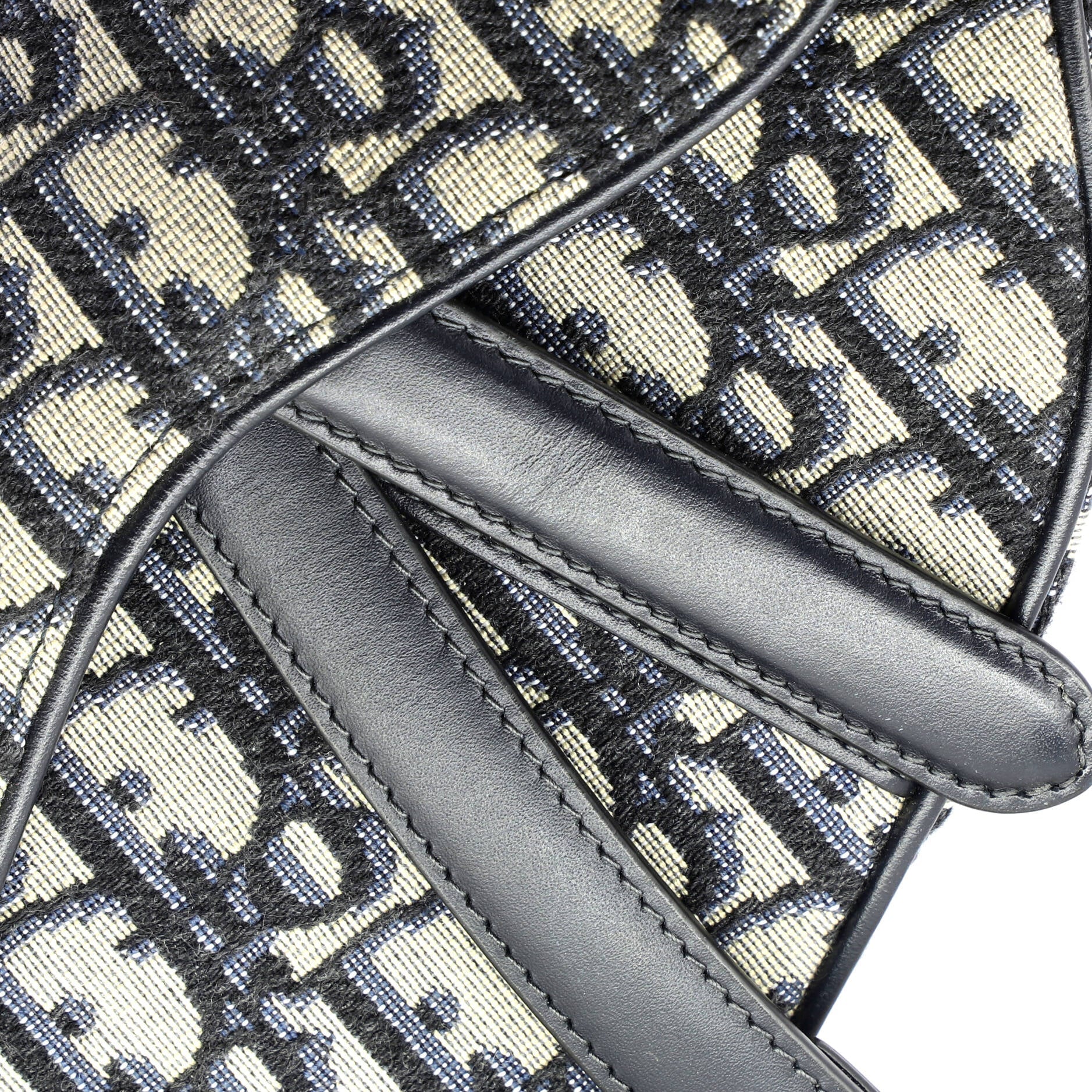 Saddle Handbag Oblique Canvas Mini