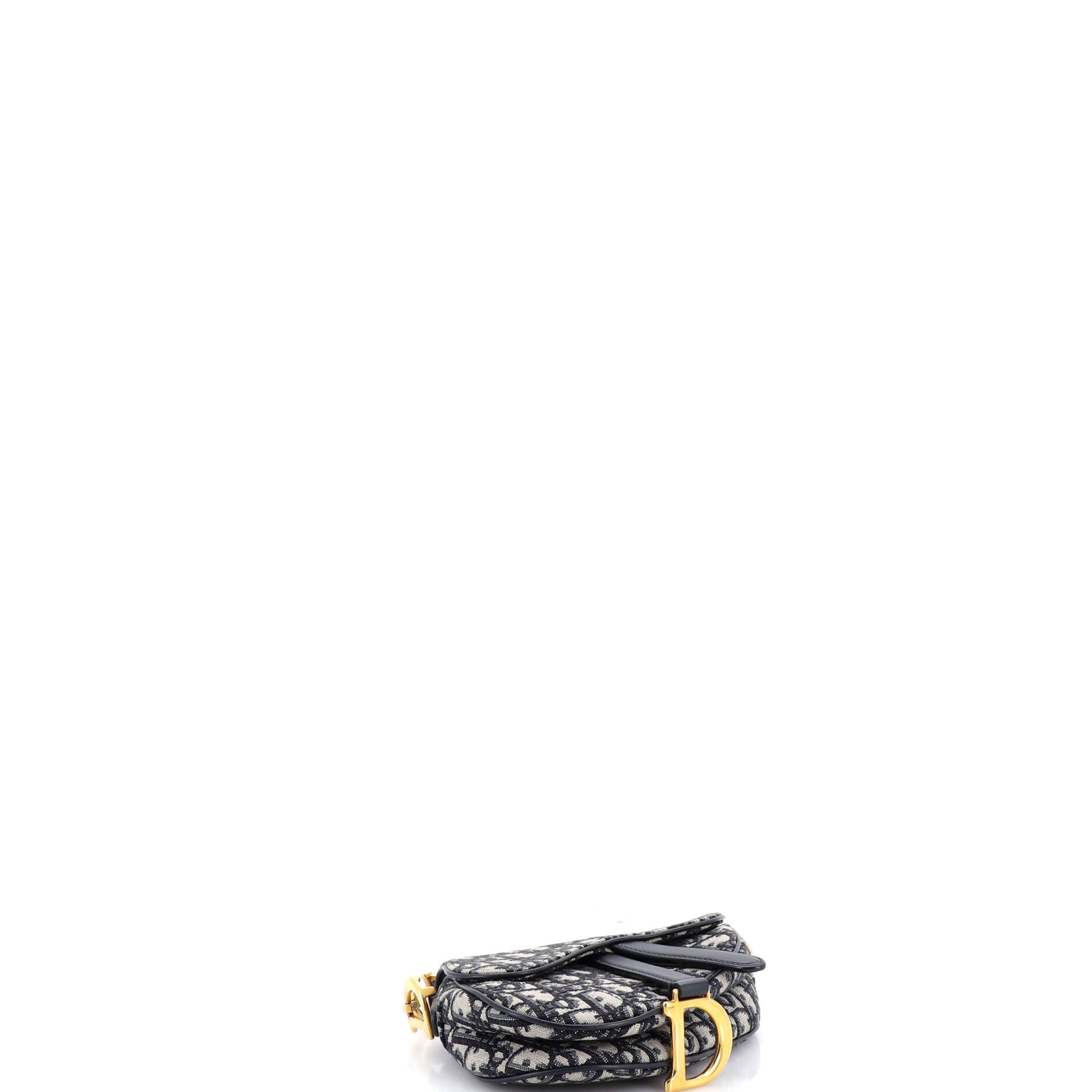 Saddle Handbag Oblique Canvas Mini
