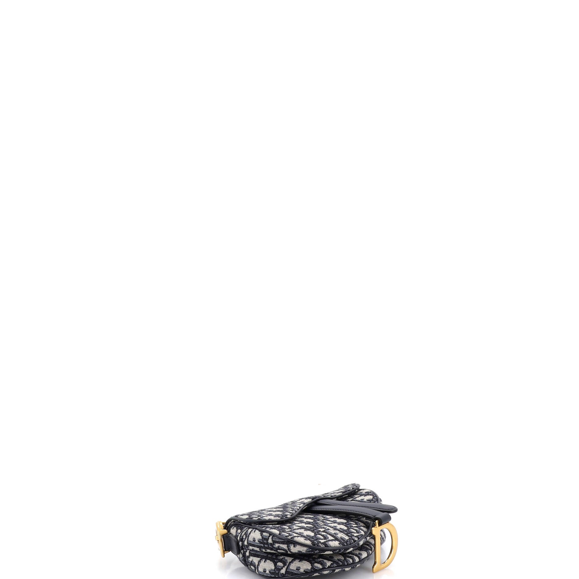 Saddle Handbag Oblique Canvas Mini