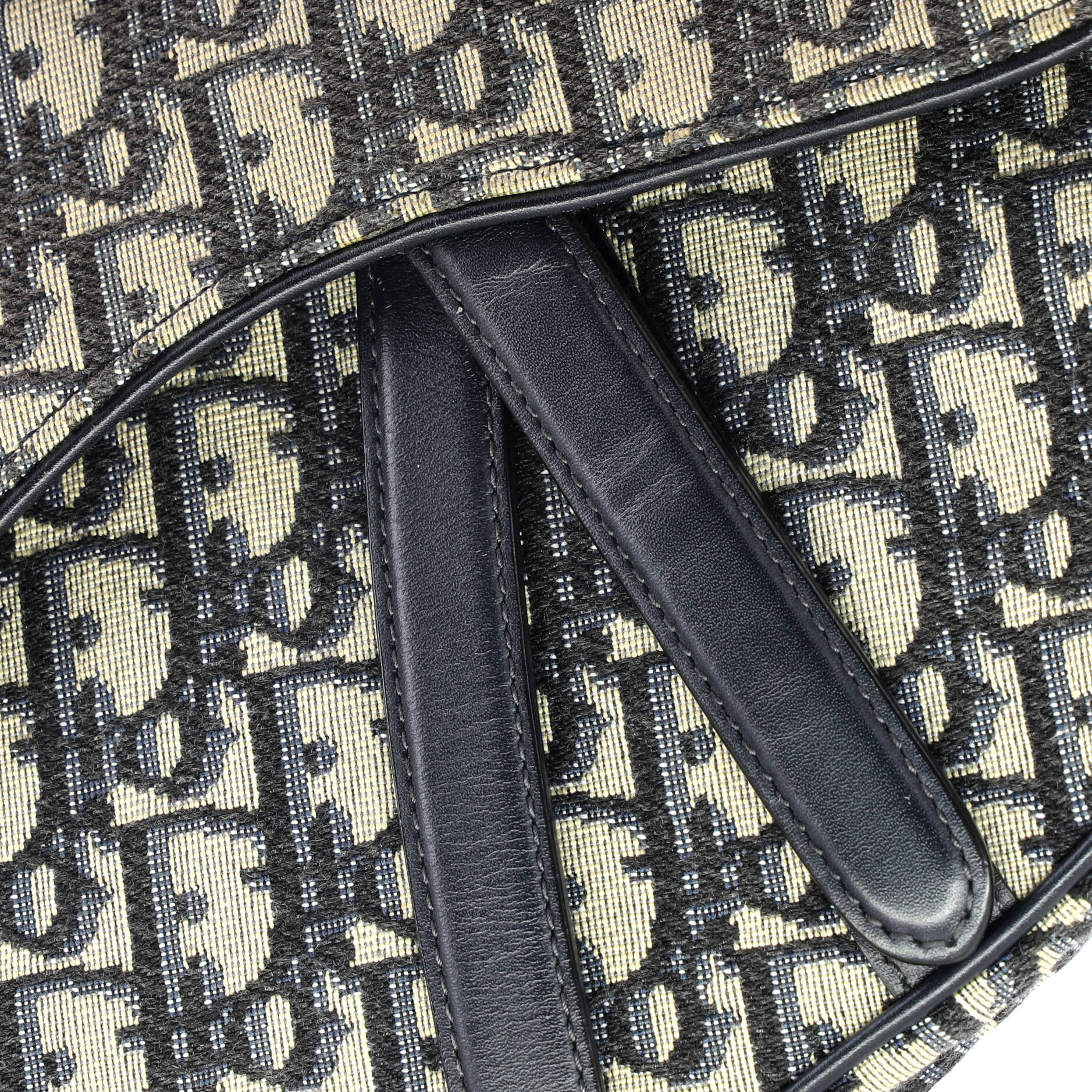 Saddle Handbag Oblique Canvas Medium