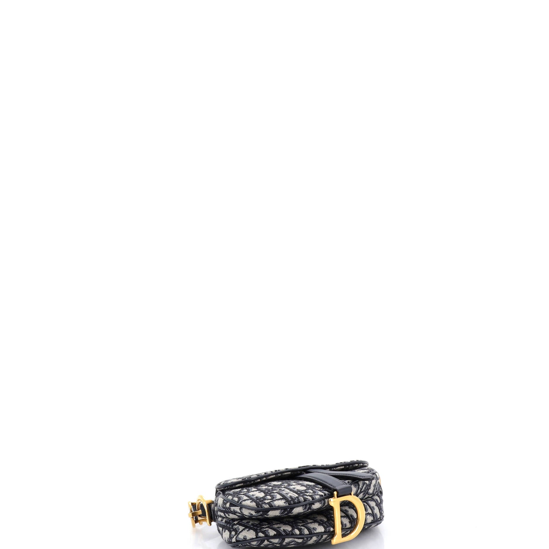 Saddle Handbag Oblique Canvas Mini