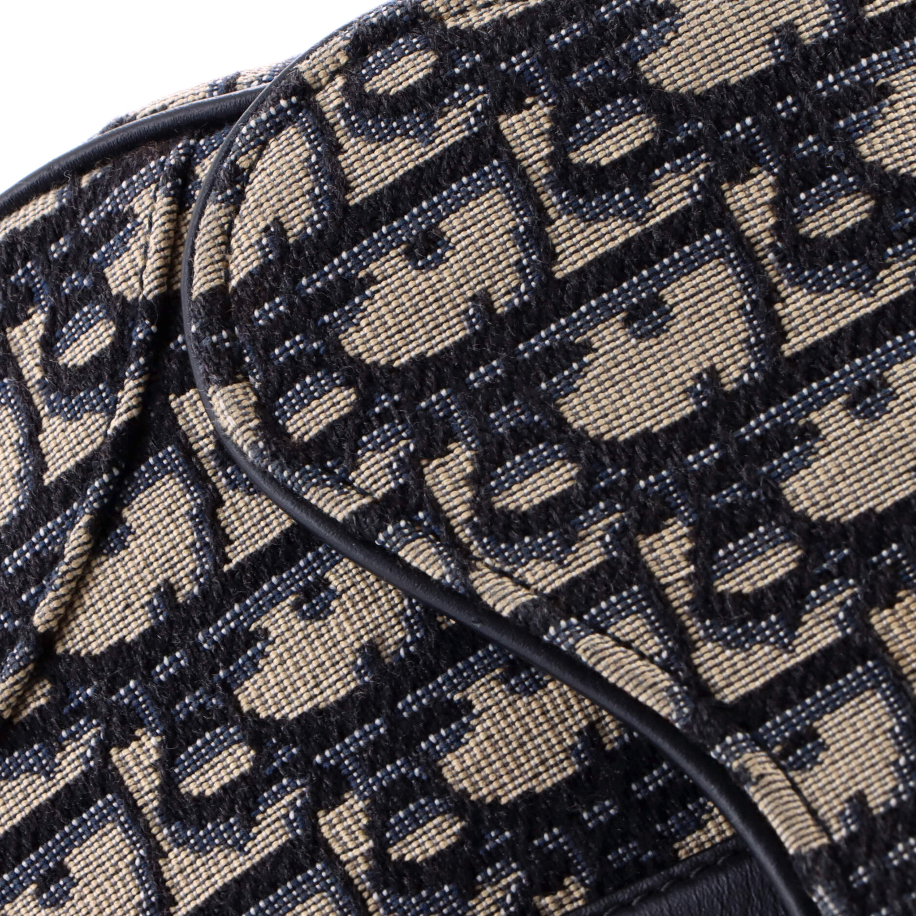 Saddle Handbag Oblique Canvas Mini