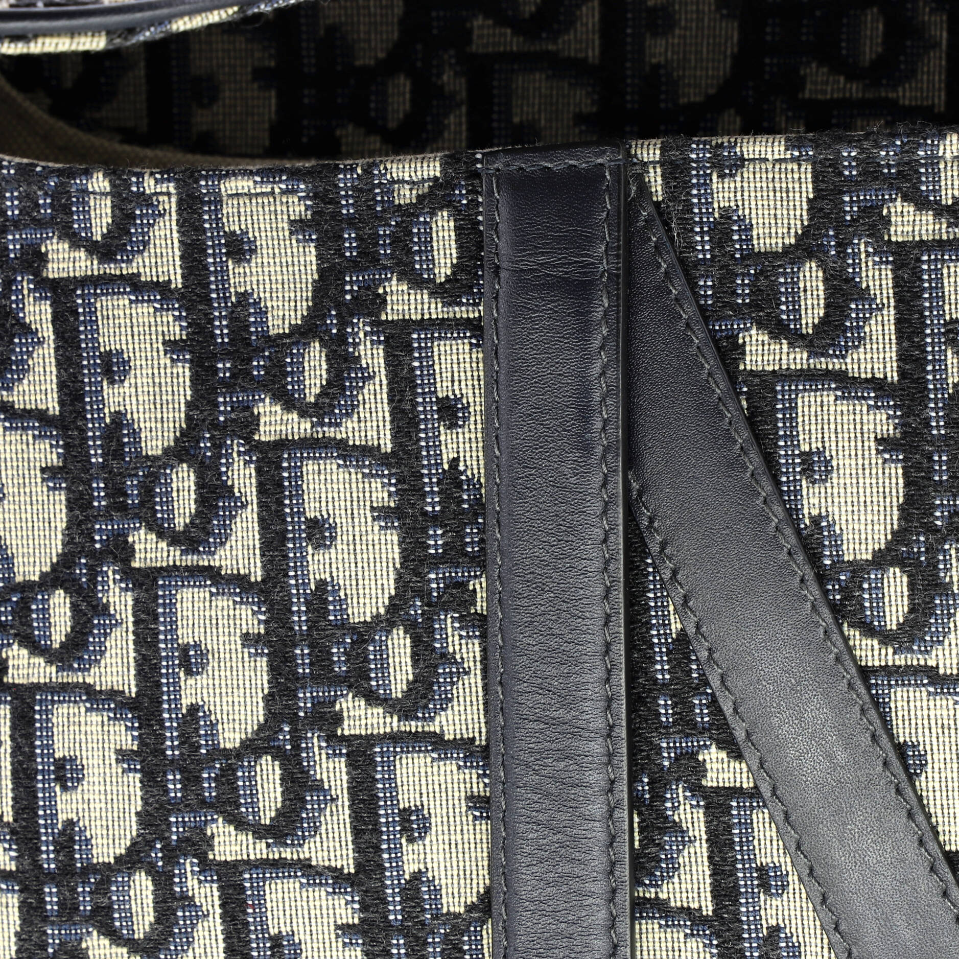 Saddle Handbag Oblique Canvas Medium