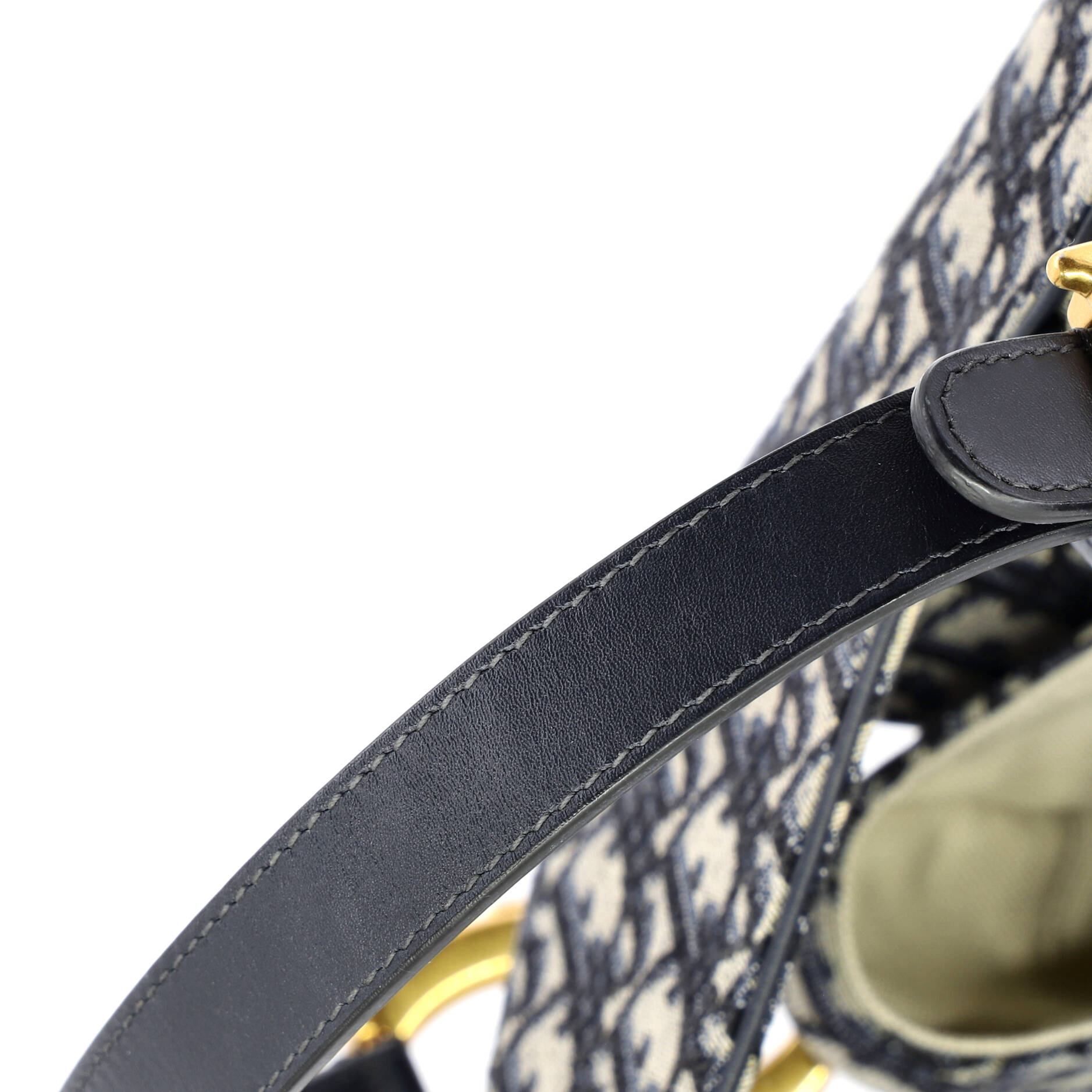 Saddle Handbag Oblique Canvas Medium