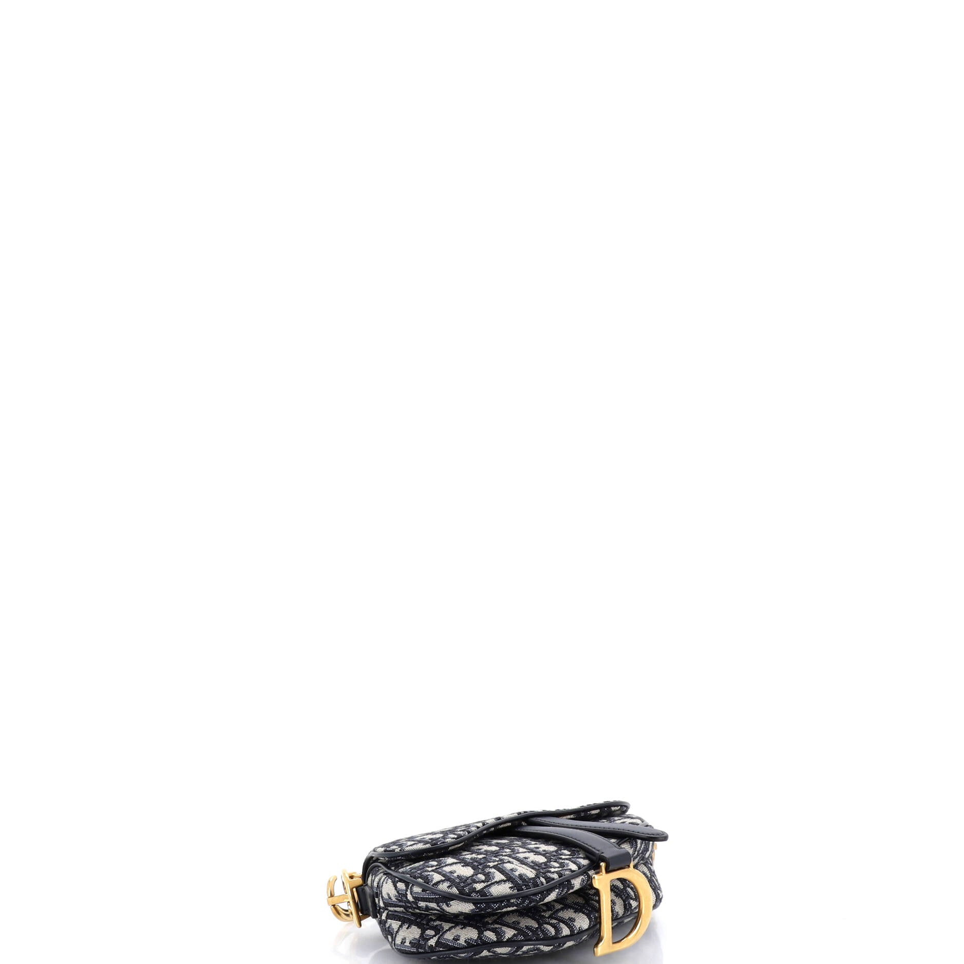 Saddle Handbag Oblique Canvas Mini