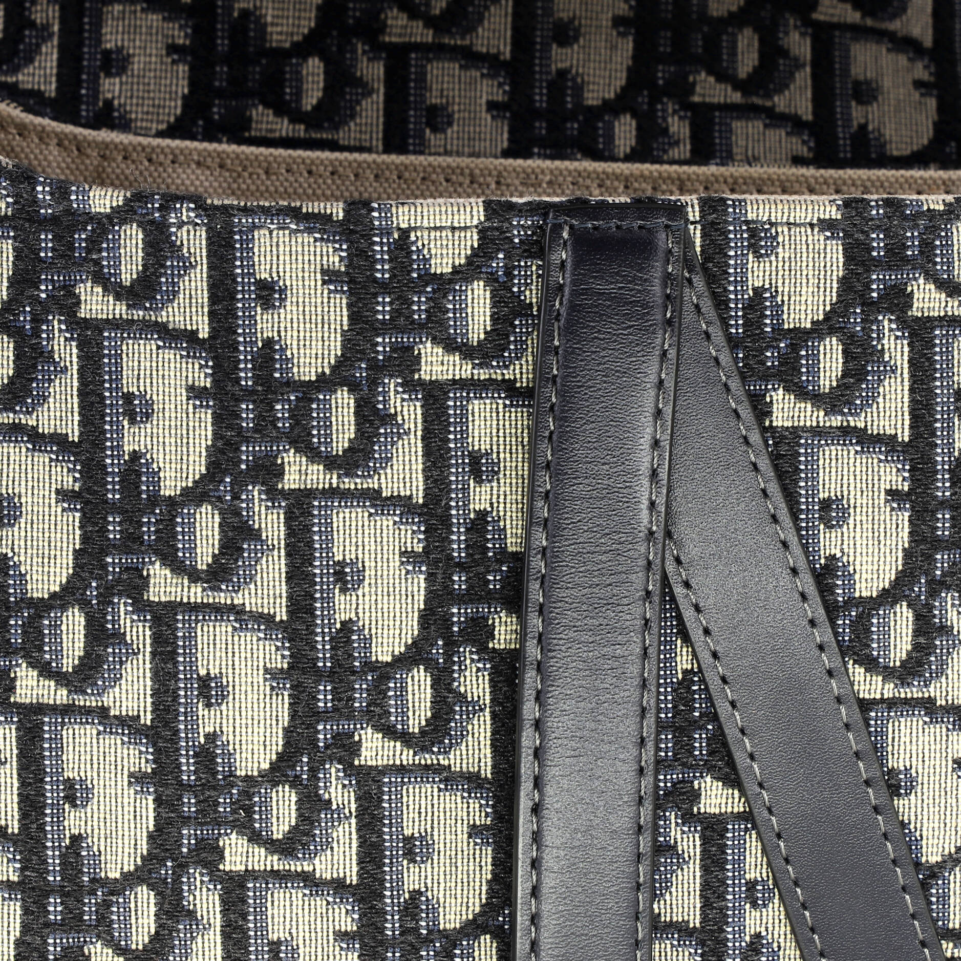 Saddle Handbag Oblique Canvas Medium