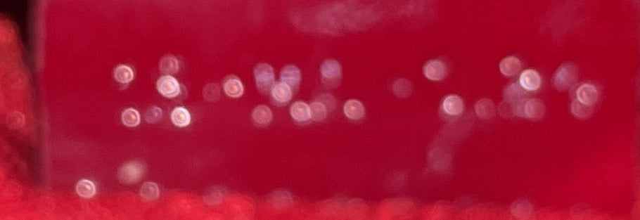 Lady Dior Bag Cannage Quilt Patent Mini