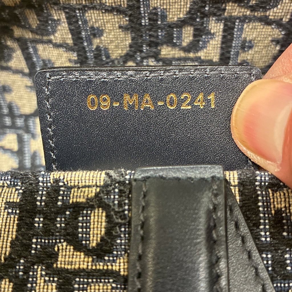 Saddle Handbag Oblique Canvas Medium