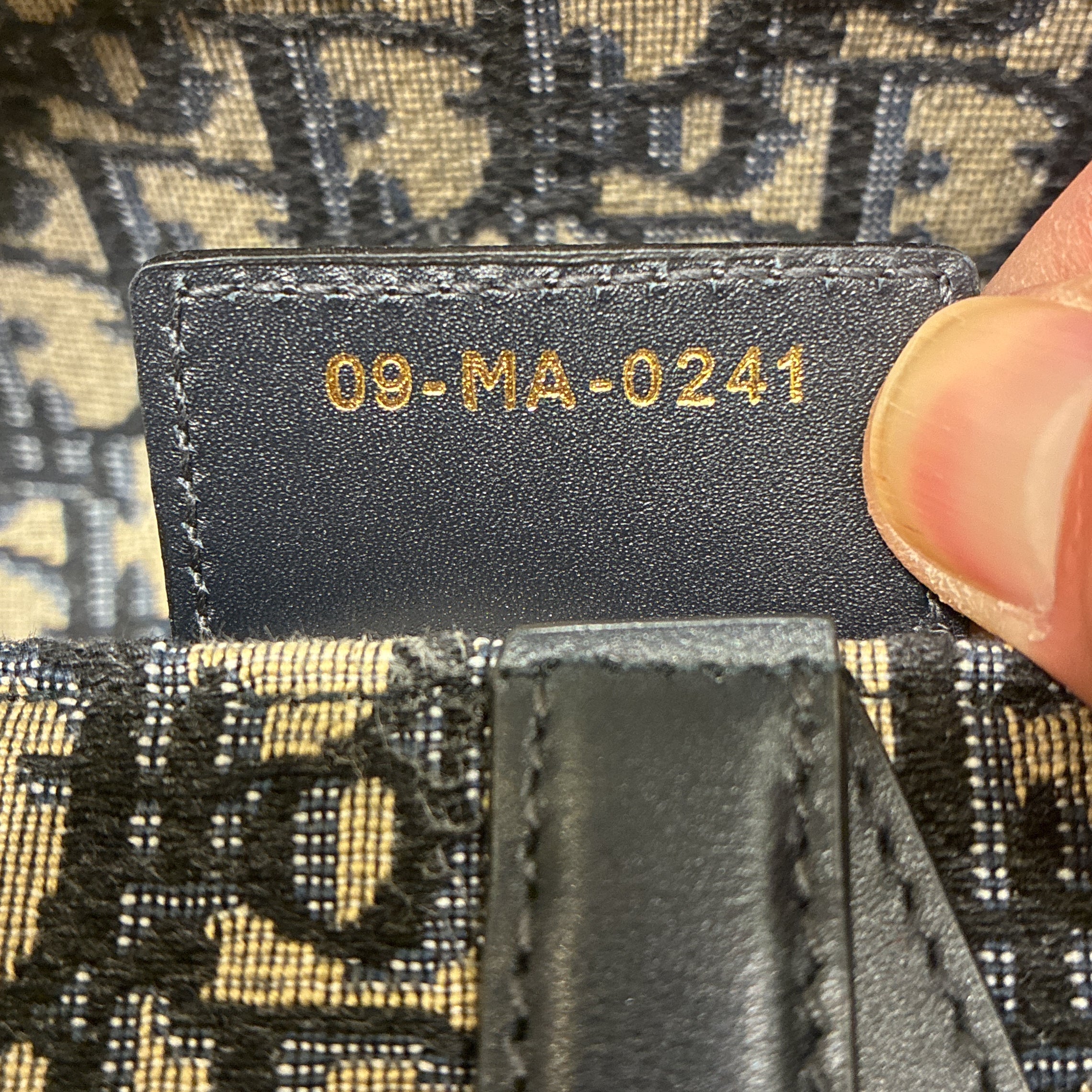 Saddle Handbag Oblique Canvas Medium