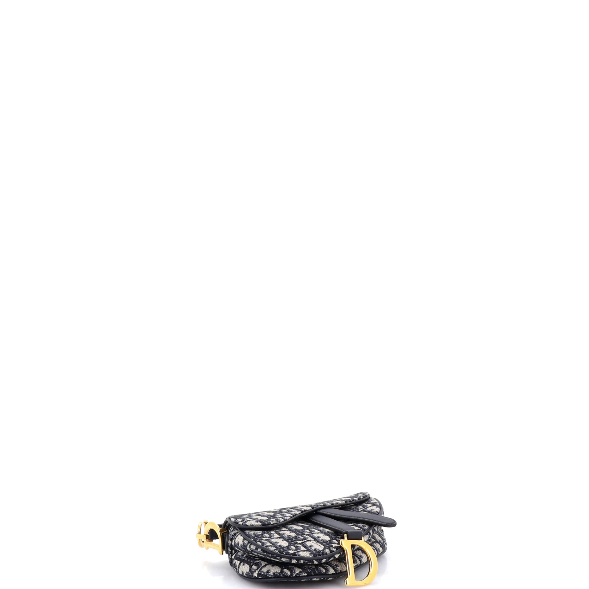 Saddle Handbag Oblique Canvas Mini
