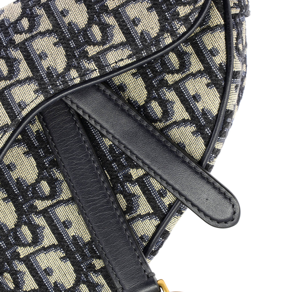 Saddle Handbag Oblique Canvas Mini
