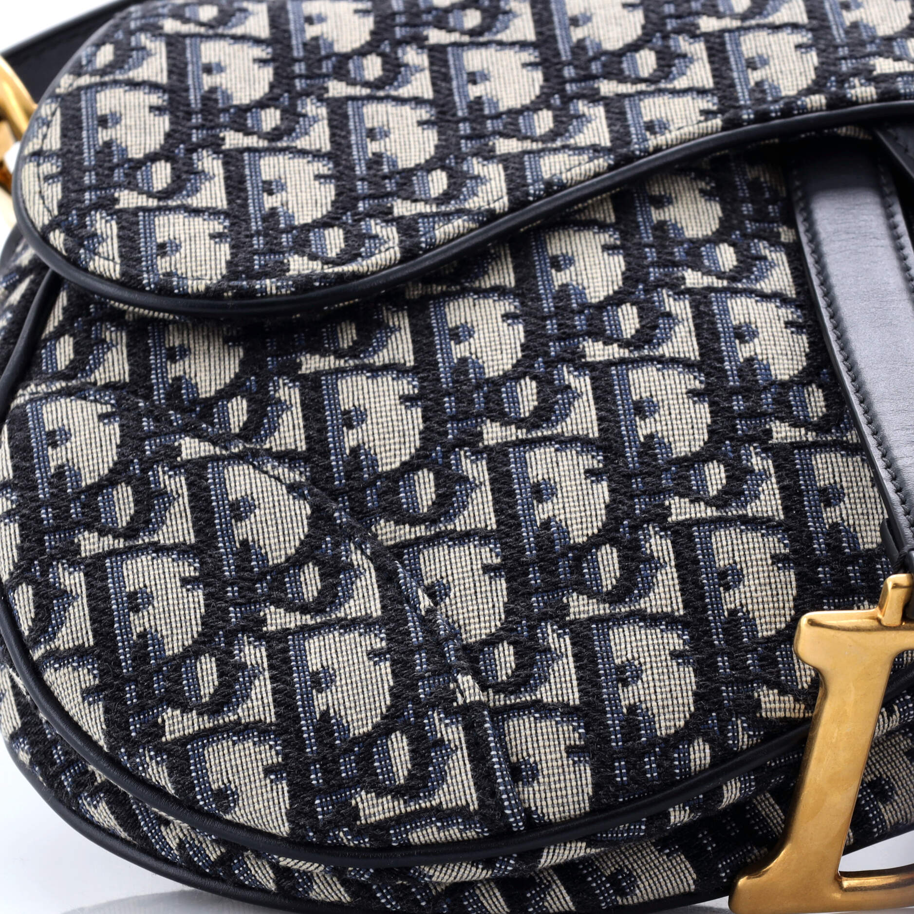 Saddle Handbag Oblique Canvas Medium