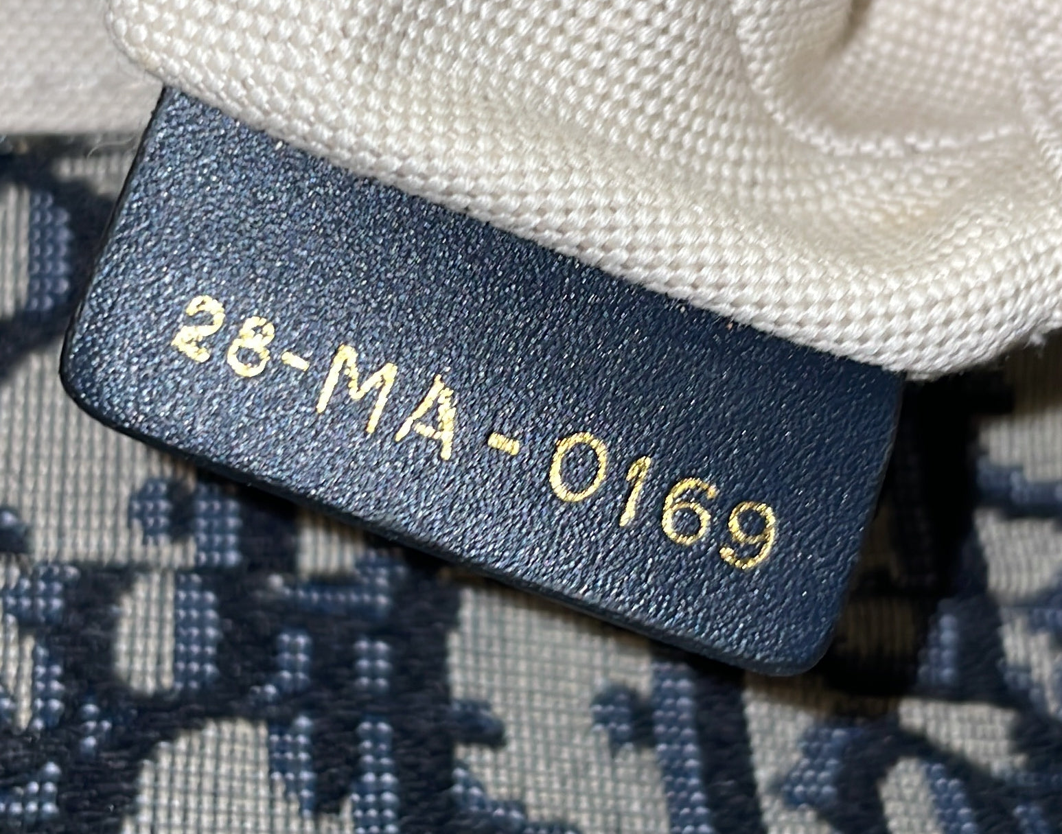 Saddle Handbag Oblique Canvas Mini
