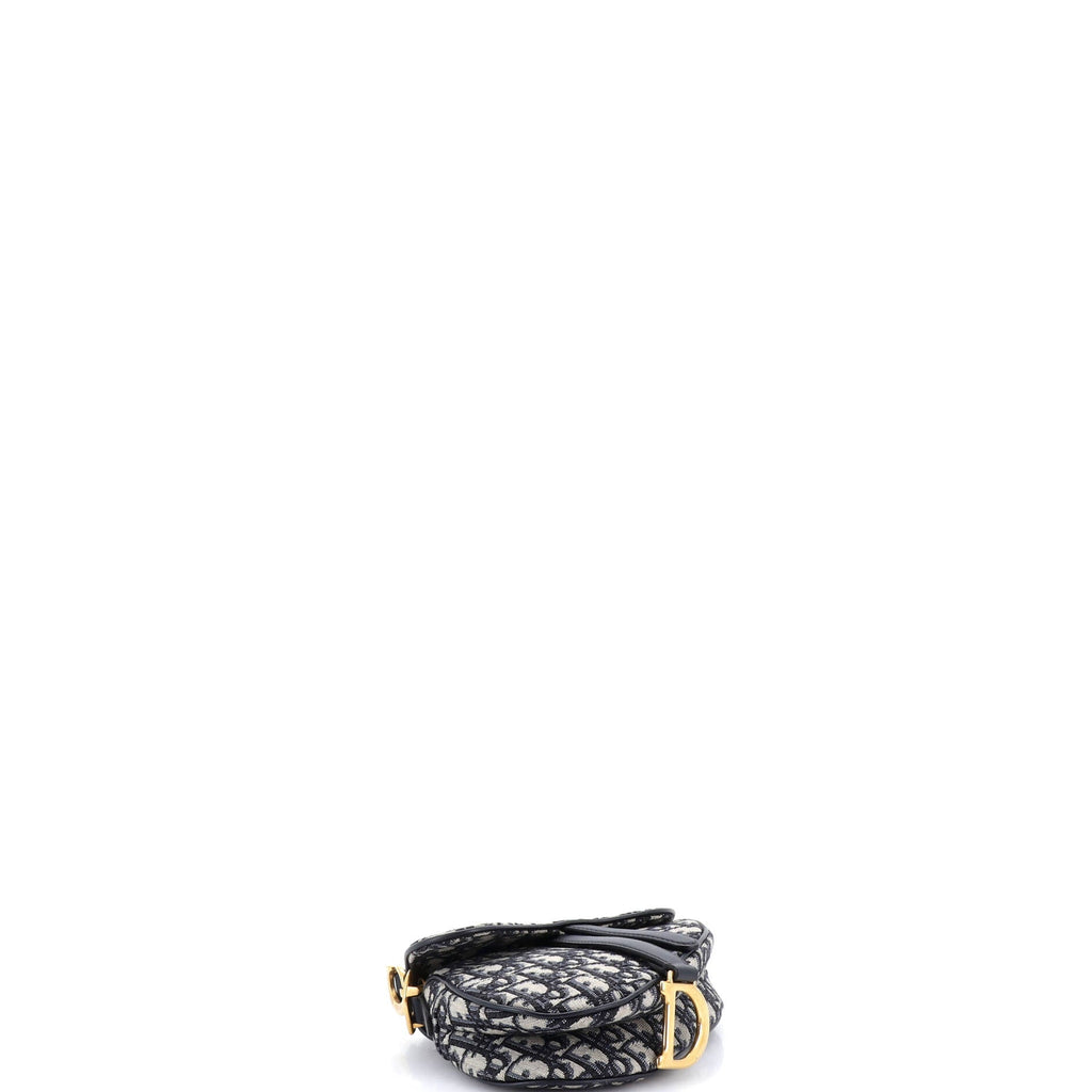 Saddle Handbag Oblique Canvas Mini