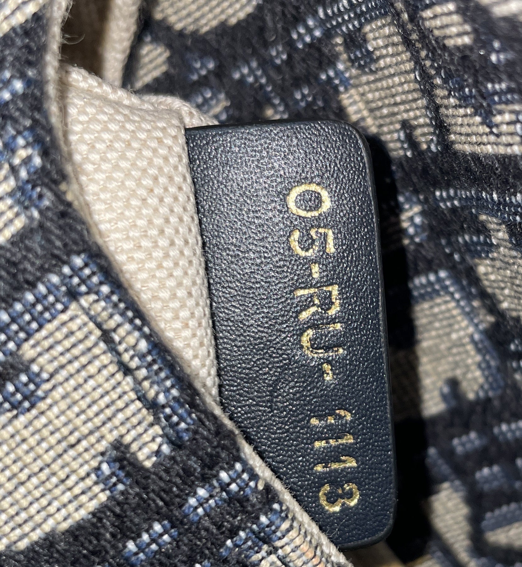 Saddle Handbag Oblique Canvas Mini