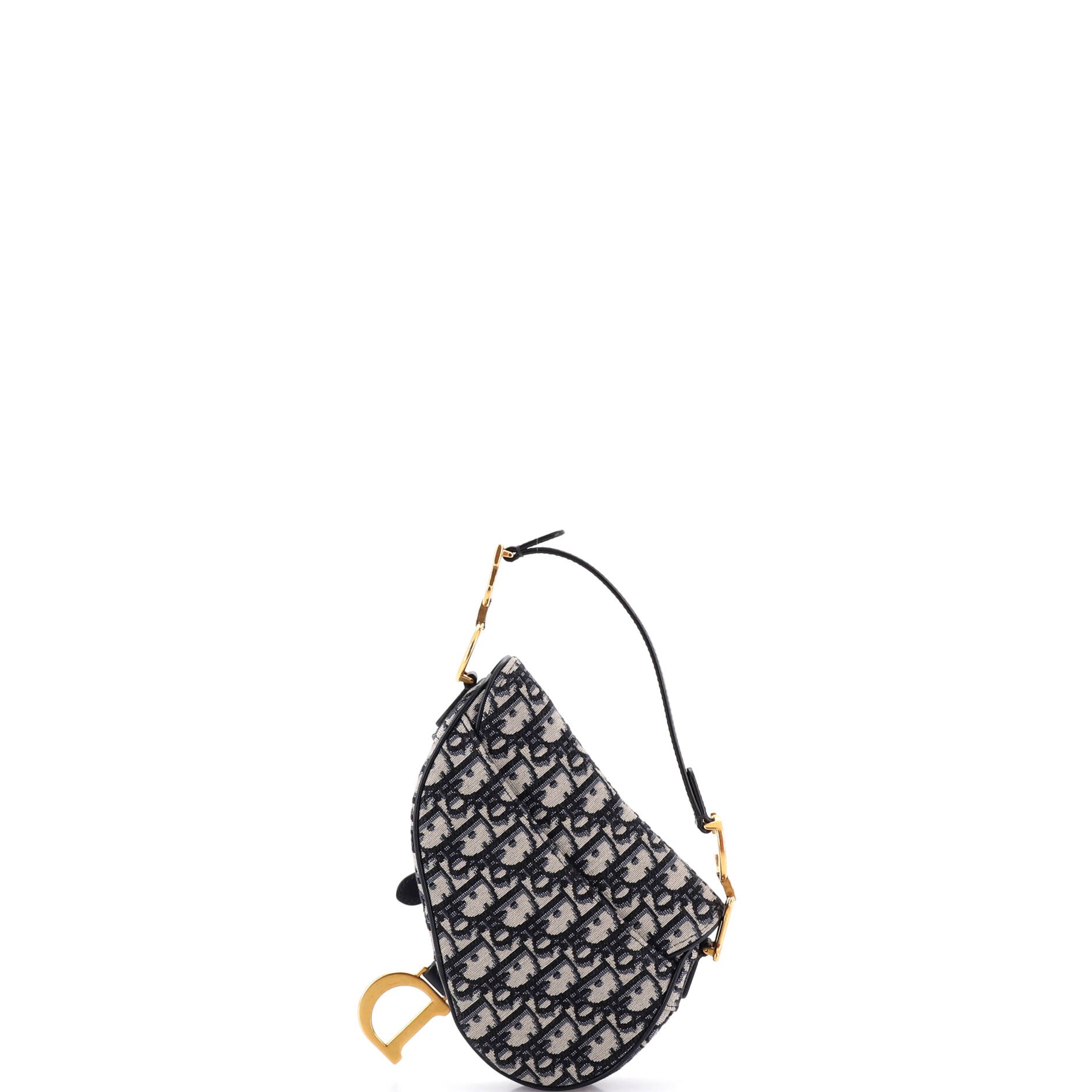 Saddle Handbag Oblique Canvas Mini