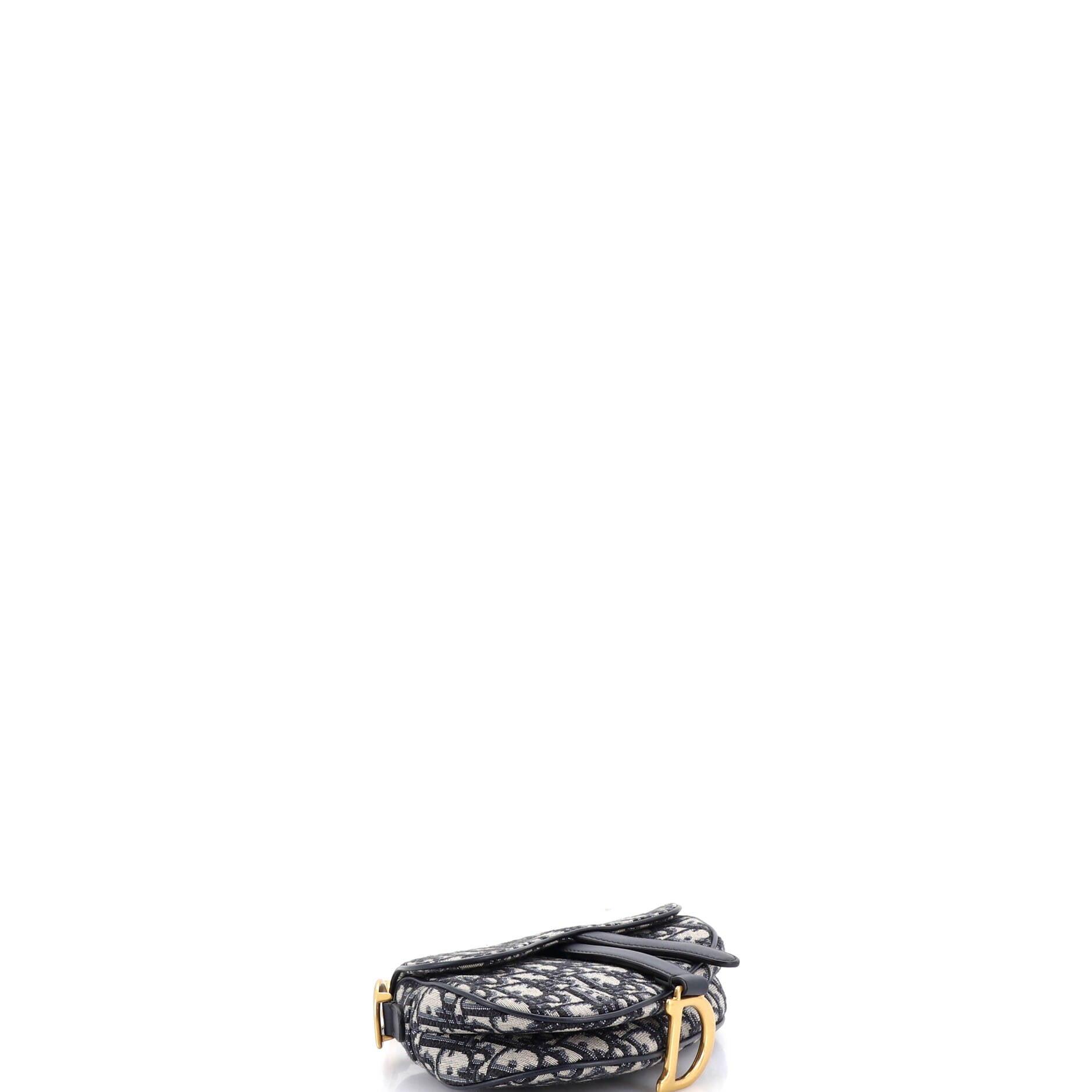 Saddle Handbag Oblique Canvas Mini